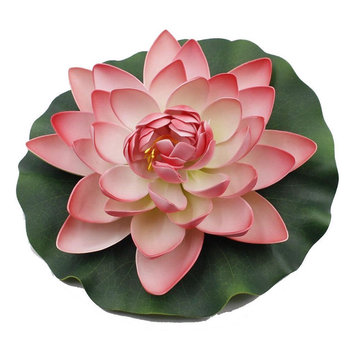 Floating Lotus Flower