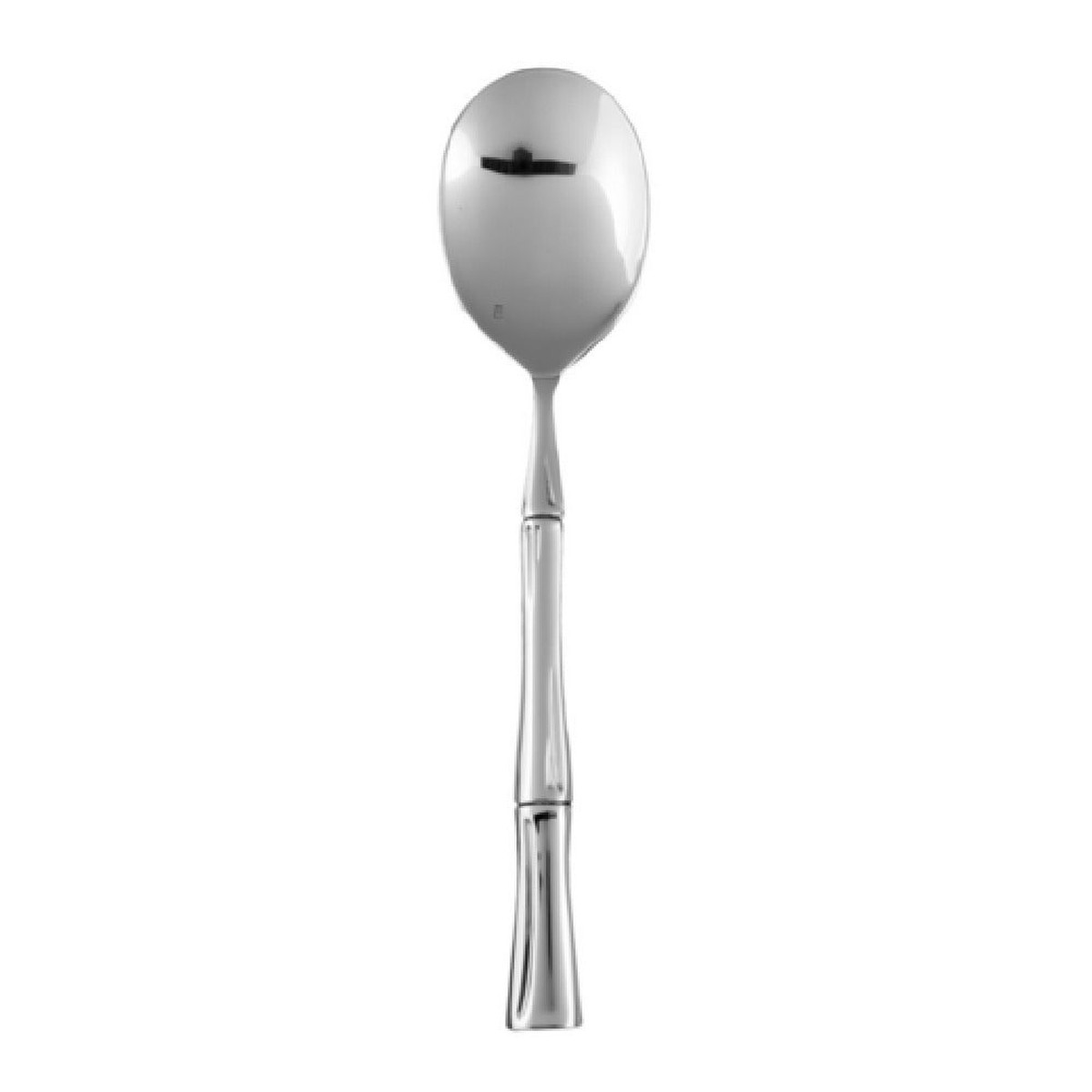 Fortessa 1.5.127.00.027 Royal Pacific Serving Spoon 10″ 9.9″ (25.1cm) Dishwasher Safe