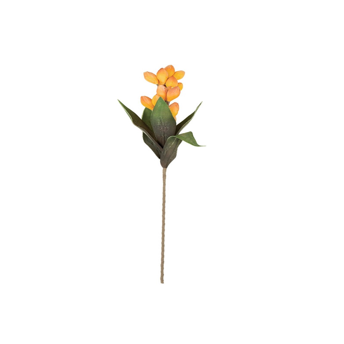 Kalalou – Yellow Pod Stem