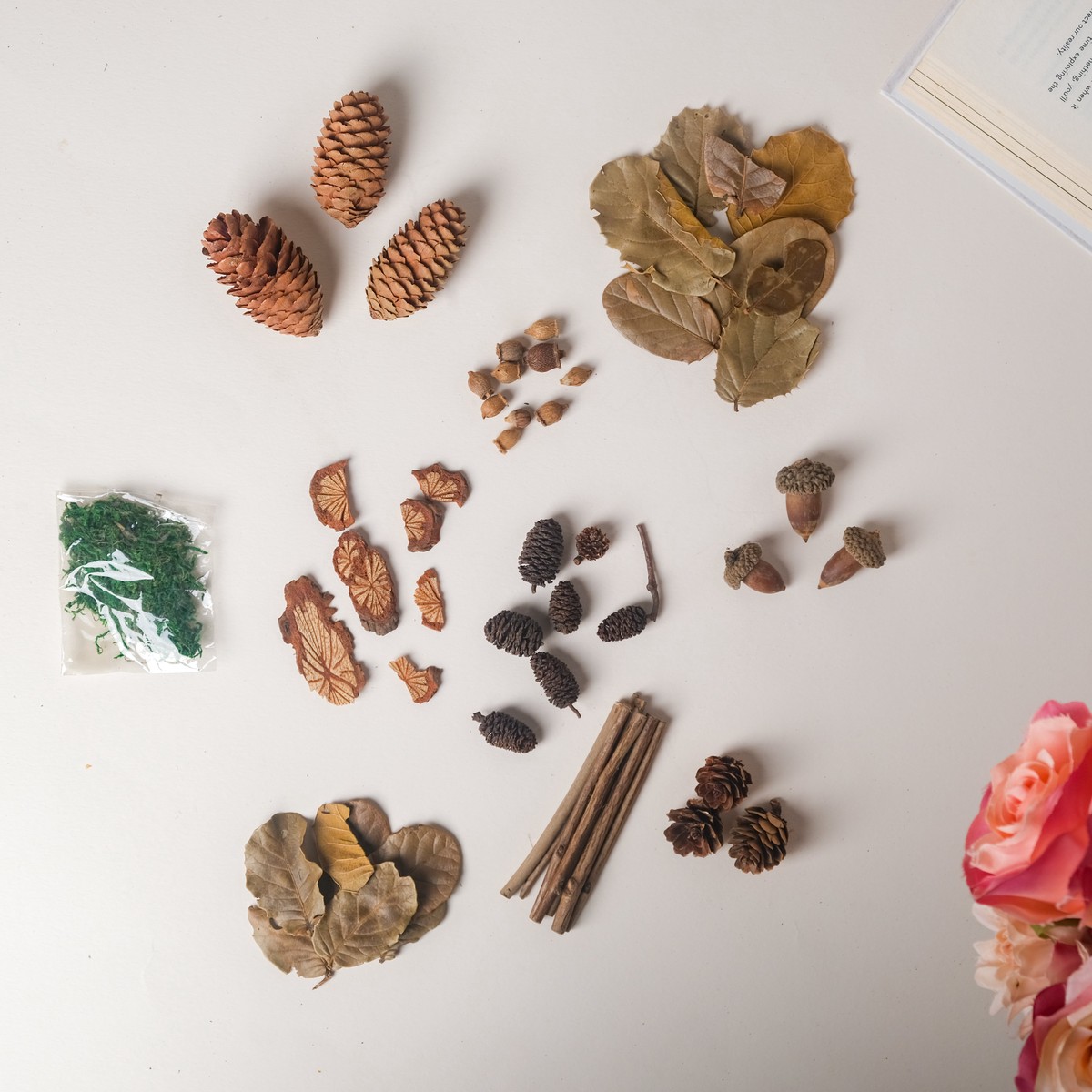 Natural Dried Flowers