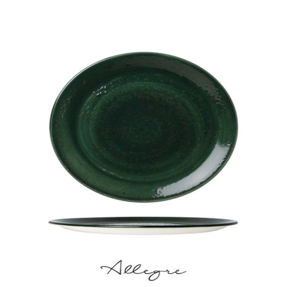 10 in. Dinner Plate/ Serving Plate for 2 to 3 Persons - Vesuvius Burnt Emerald
