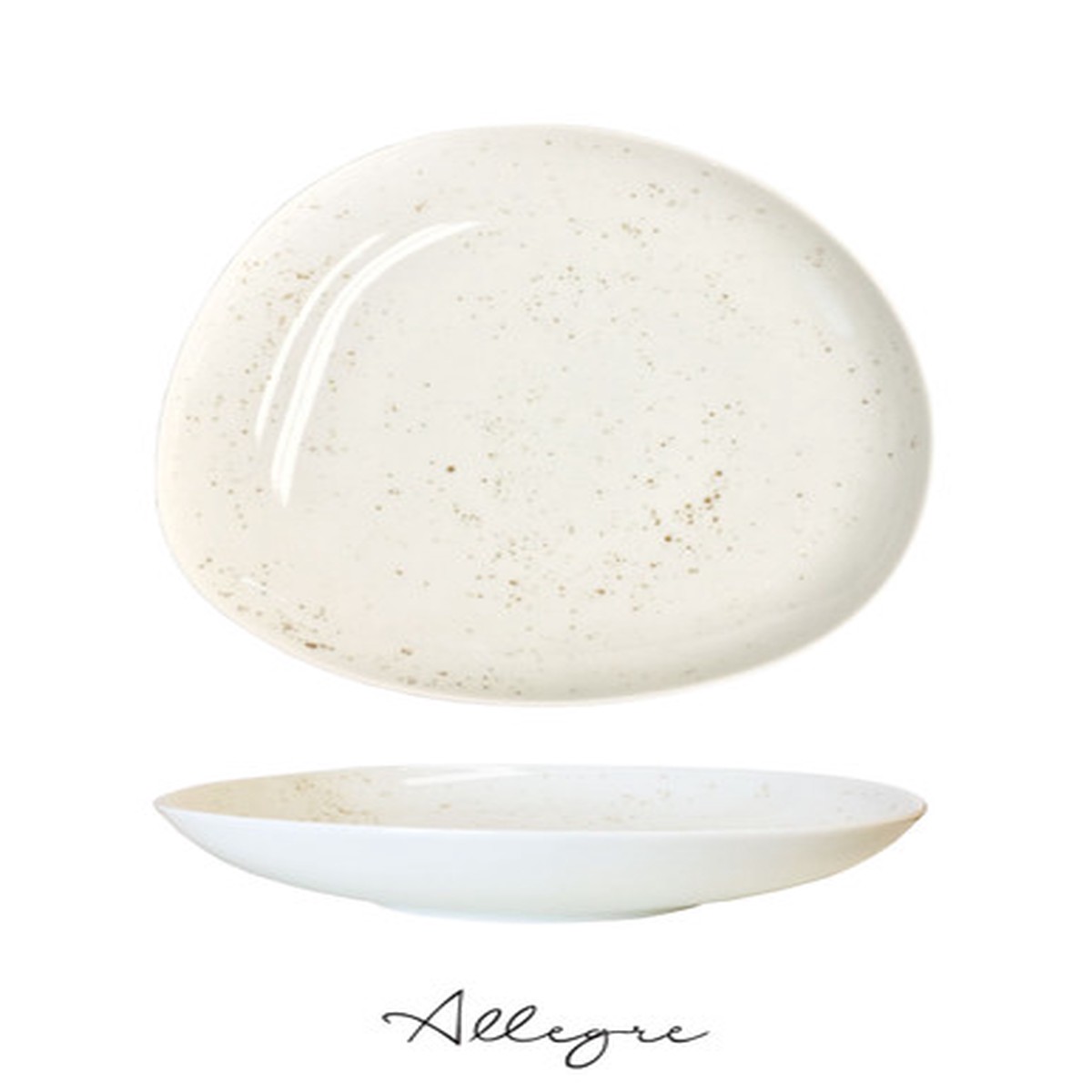 10.9 in. Shallow Serving Dish for 4 to 5 Persons 800 ml - Pebble