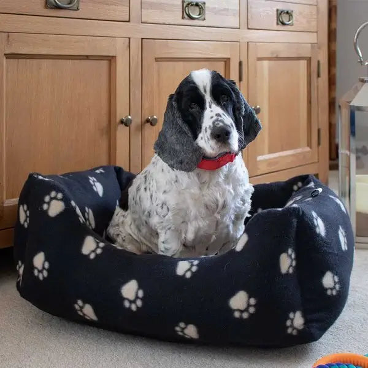 Zoon Snugpaws Jet Square Bed - Different Sizes