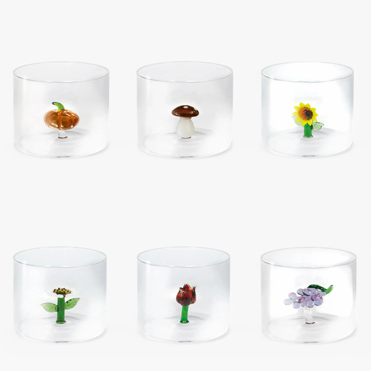 WD Lifestyle Fruits and Flowers set 6 tumblers mix 1