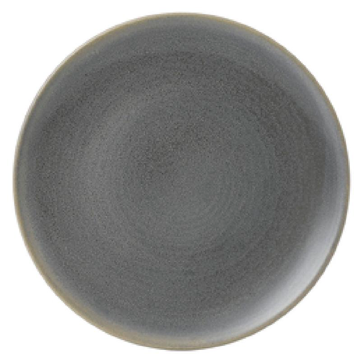 Arc Cardinal EG273 1075 Inch Coupe Plate Stoneware Dudson Evo Granite 12 Packs