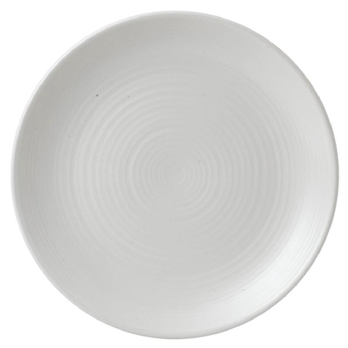 Arc Cardinal EP295 11625 Inch Coupe Plate Stoneware Minimum Purchasing Unit CS